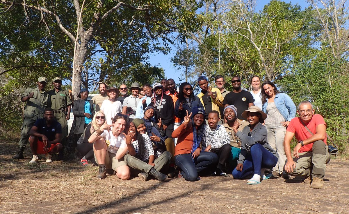 Robert Anemone tweet media