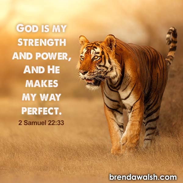 brendakwalsh's tweet photo. "God is my strength and power, and He makes my way perfect." - 2 Samuel 22:33
#BrendaWalshMinistries #bible #text #bibletext #verse #verseoftheday #bibleverse #study #biblestudy #scripture #scriptureimage #holyword #gospel #strength #power #trust #mercy #protection #victory #God https://t.co/TEMqaUtfVl