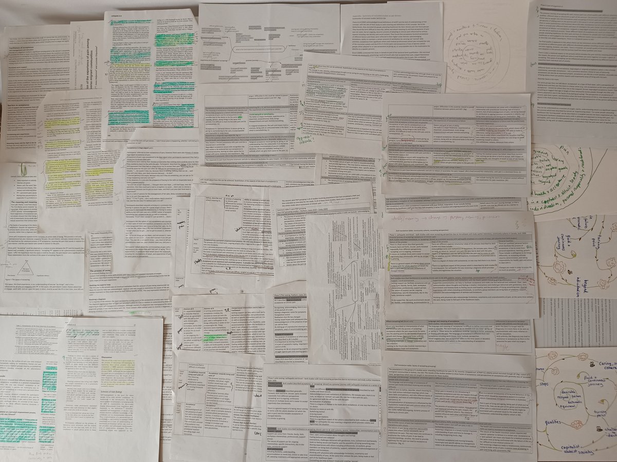 Here's a visual of how I spent the most recent year of my PhD... #MetaEthnography #QualitativeSynthesis #Interpretive #PhDChat