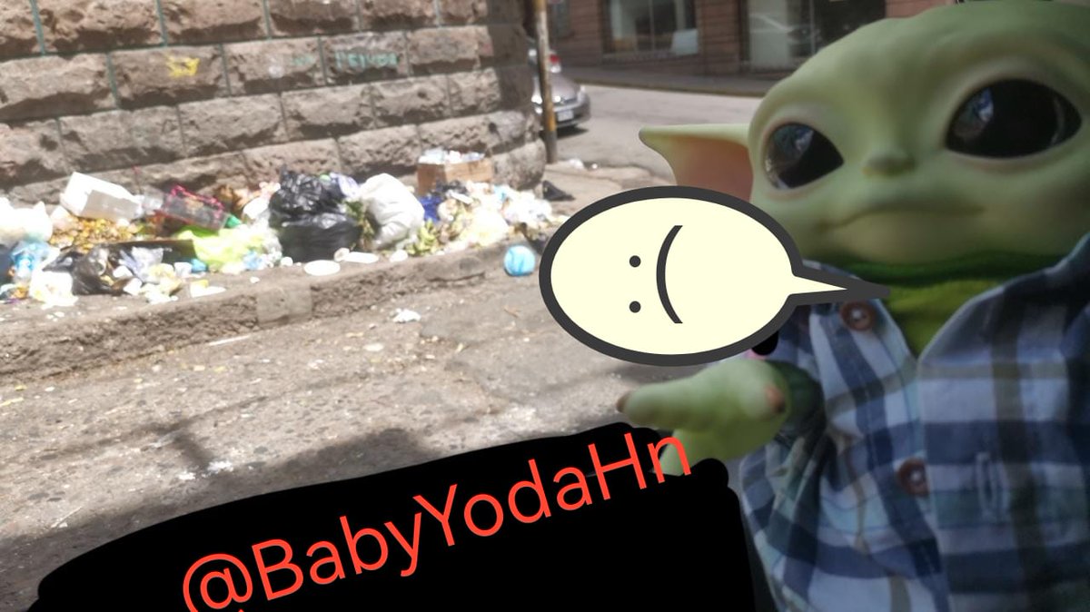 Hoy me levanté content@🌞 pero creo que ya me enferme con este olor🤢 no se ustedes pero esta ciudad huele a basura y miados amiguitos🤮🤮