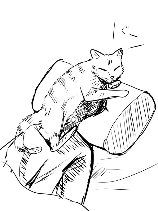 最近朝よくこれ 