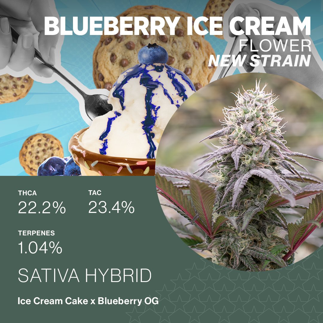 Greenmeadows's tweet photo. New Strain Alert 🚨

Indulge in the last few remaining weeks of summer with the newest organic strain to drop from Green Meadows.☀️ https://t.co/GWUp0VRmKB