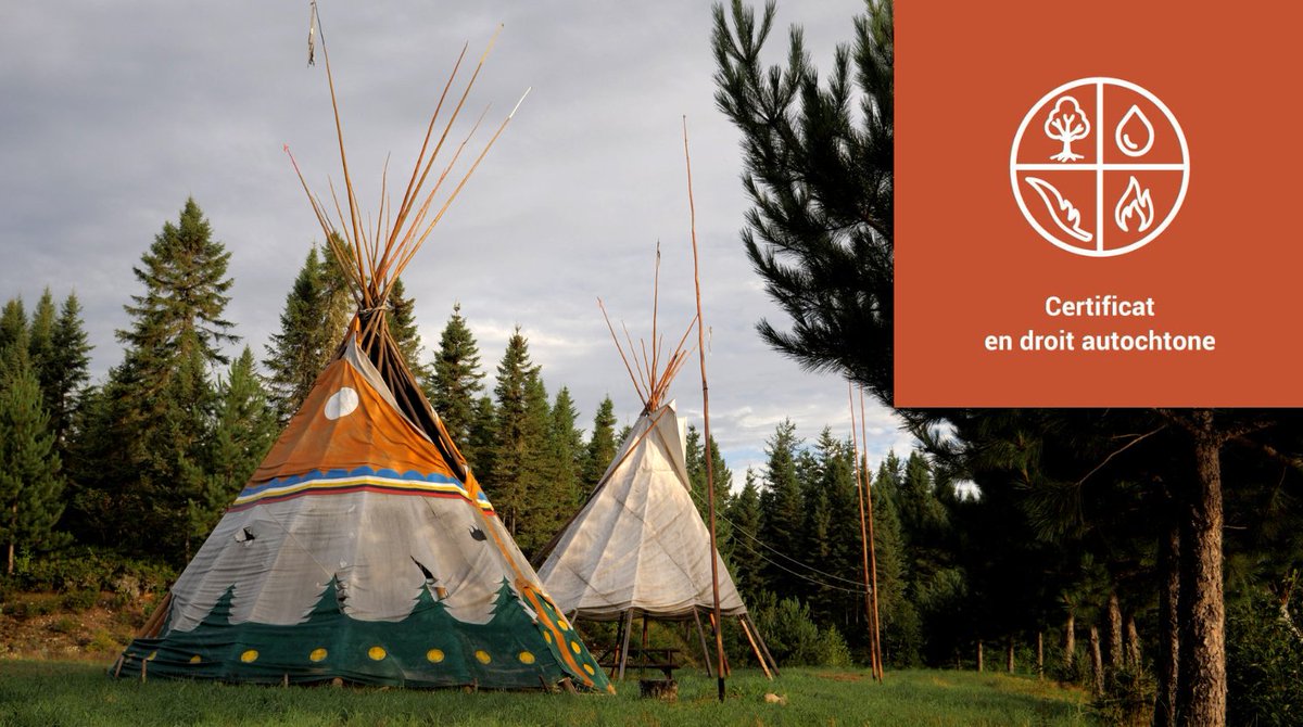 uOttawaMedia's tweet image. AVIS AUX MÉDIAS: La Section  @DrCiviluOttawa
@uOttawa est heureuse d’inviter les #médias au lancement du 1er programme Certificat en droit autochtone en français au Canada

L'accueil de la 1ère cohorte + mots de @recteurUOpres @DavidLametti @MEveSylvestre

bit.ly/3dxFFkY