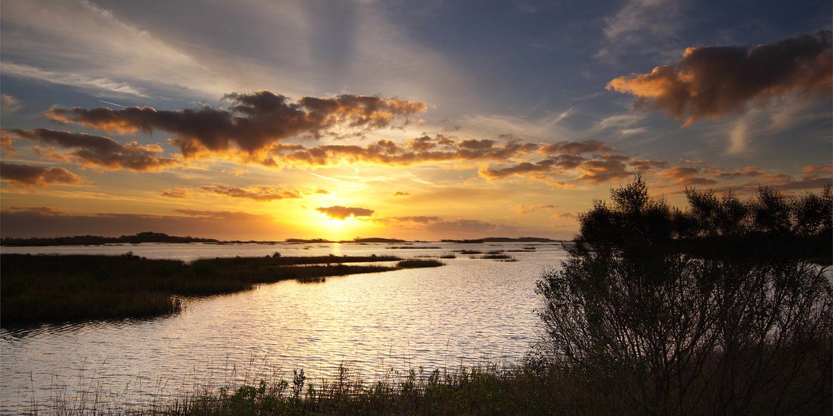 tidewatertours's tweet photo. The 2022 #PhotoContest cover image takeover is ready! Head over to facebook to vote for your fav image(s).
.
EARLY VOTING ENDS 8/31/21
.
#TidewaterTours #cedarkey #cedarkeyflorida #comeseeus #lovecedarkey #anofficewithaview #hiddencoast https://t.co/IxllCTxCsP