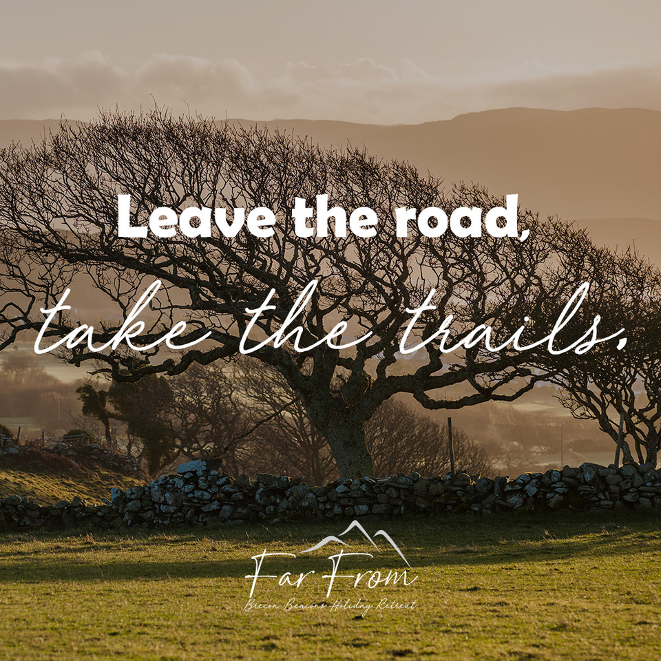 FarFromBrecon's tweet photo. Sometimes, all you need is a change in scenery😍
#farfromholidayretreat #hottublodge #rescueanimals #animalsanctuary #farmanimals #thereasonbehind #lovewhatwedo #meettheanimals #meetthefamily #loveouranimals #visitwales #cymru #cardiff #pembrokeshire #breconbeacons #glamping https://t.co/Uk5yOdqWZb