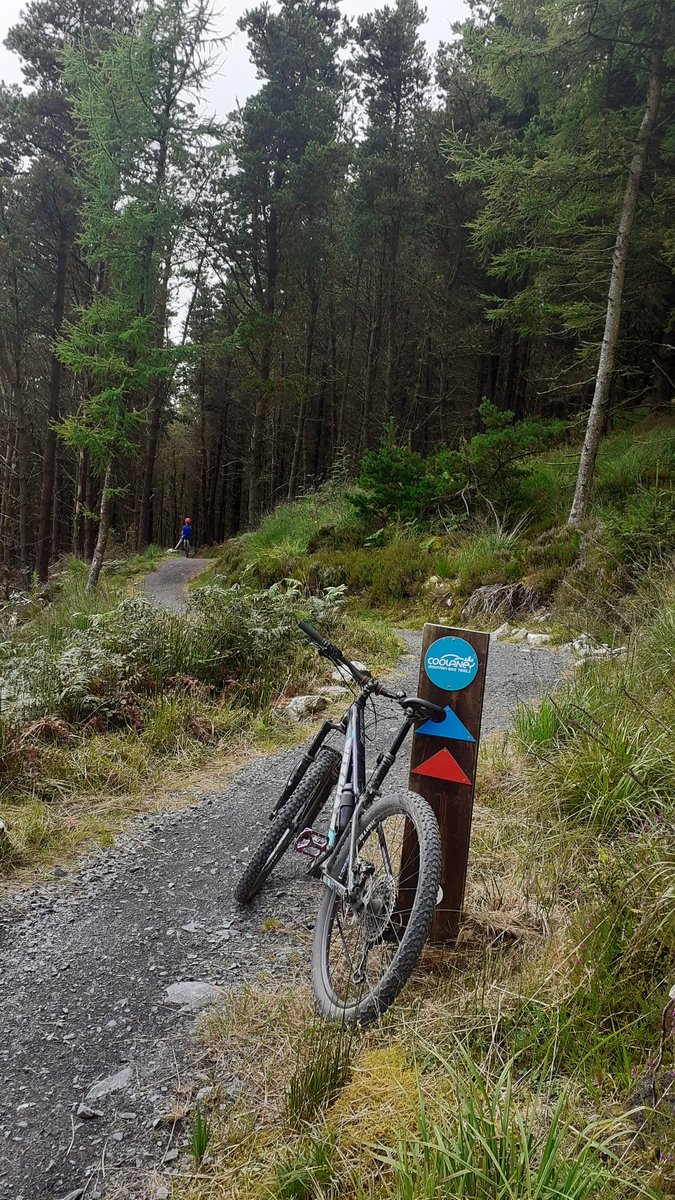 CKelly193's tweet photo. Some more activity photos over the past few days...#WeActiveChallenge #AHPsActive https://t.co/D1sFN73Aik