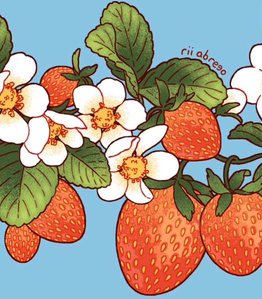 「blossoming berries  (skirts available be」|rii abregoのイラスト