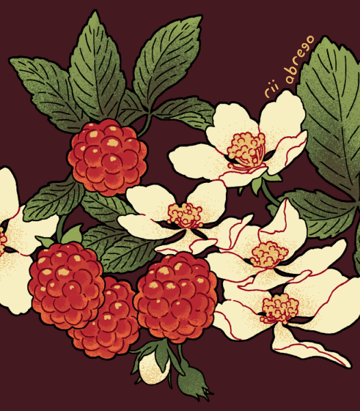 「blossoming berries  (skirts available be」|rii abregoのイラスト