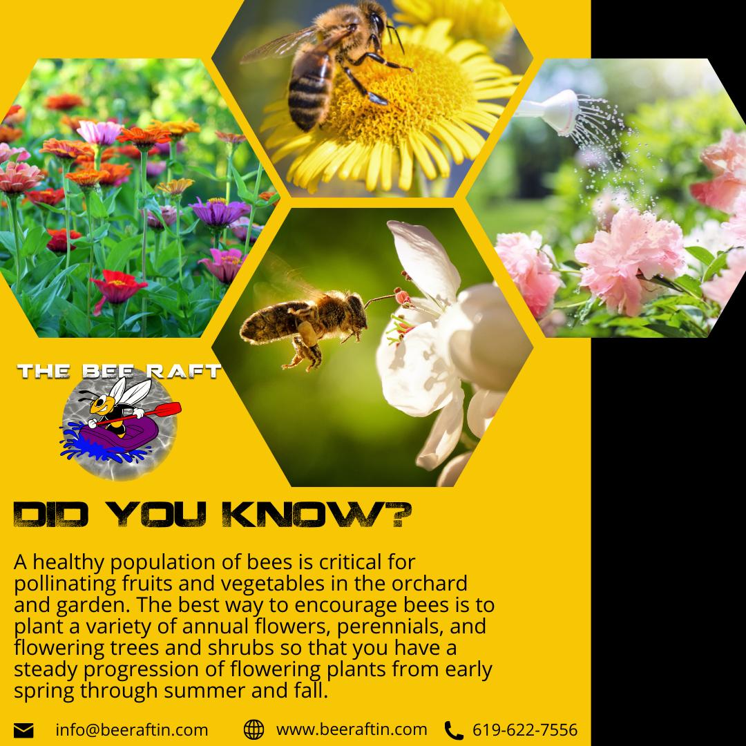 Bee_Raftin's tweet photo. π€DID YOU KNOW?
πSEE PICTURE BELIOW!
πhttps://t.co/LCncFuF0H2
π©info@beeraftin.com
π619-622-7556
#TheBeeRaft #beeraftin #itsathing #beessential #essentialworkers #savethebees #helpushelpu #ifwedieudie #beeraftin #wemakethefoodchain #beeamovement https://t.co/RPuI4d0aMY