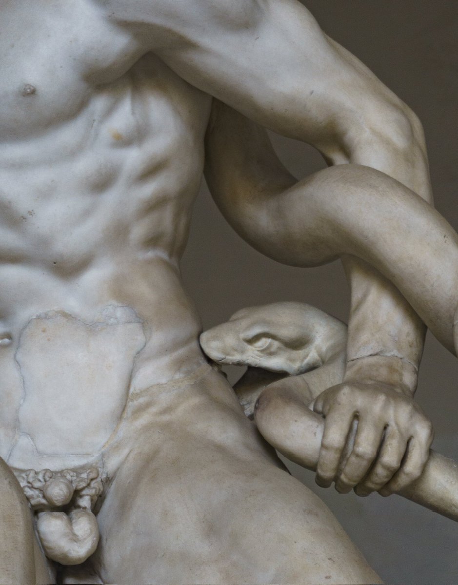 Jugando a ser fotógrafos tweet media