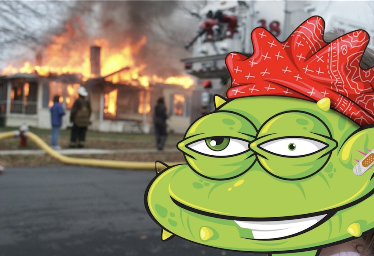 But you told me to use burner to mint?!?!

#freemint #nftgiveaway #NFTCommumity #NFT