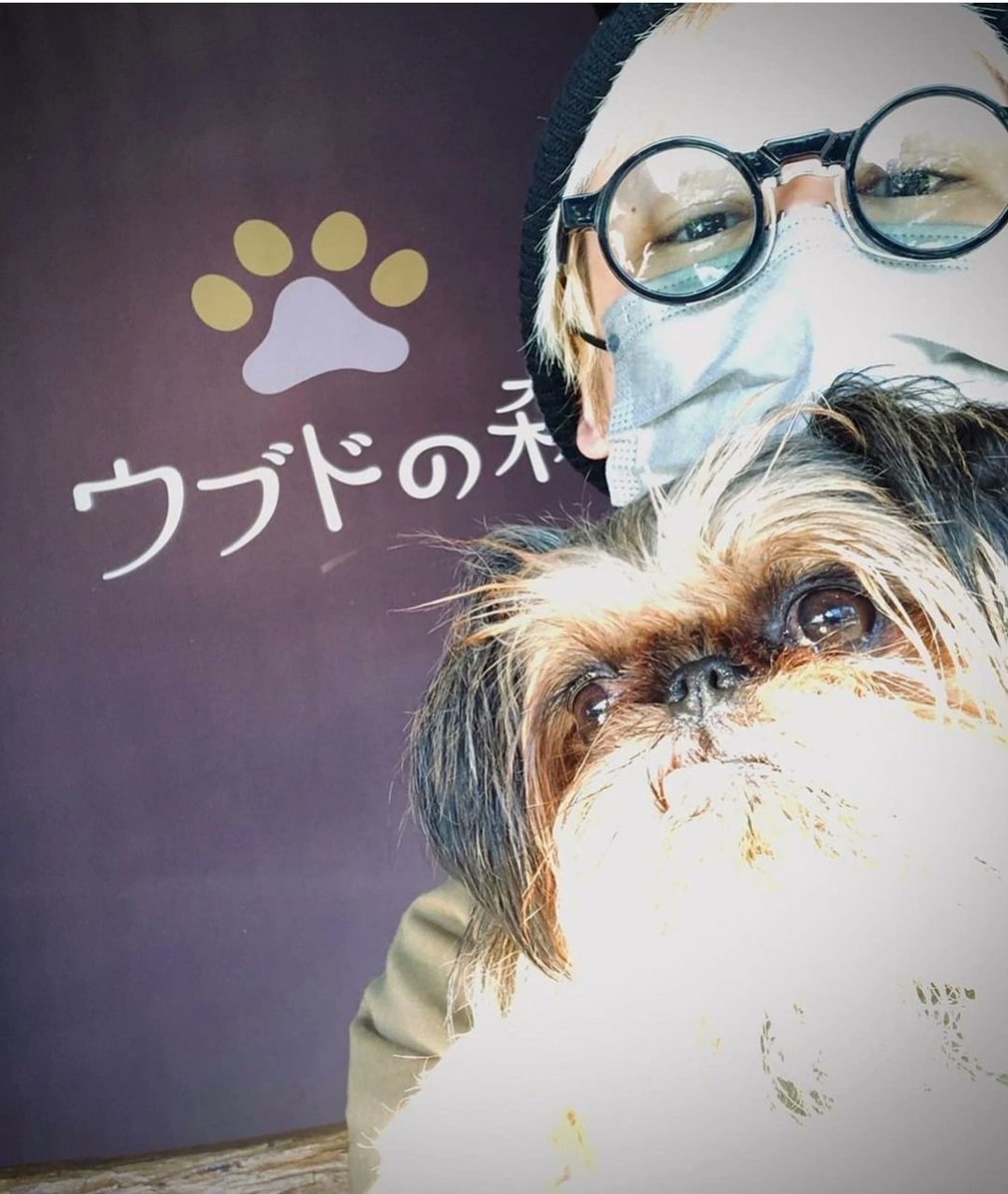 kyobot_'s tweet image. #京 #KYO #DIRENGREY