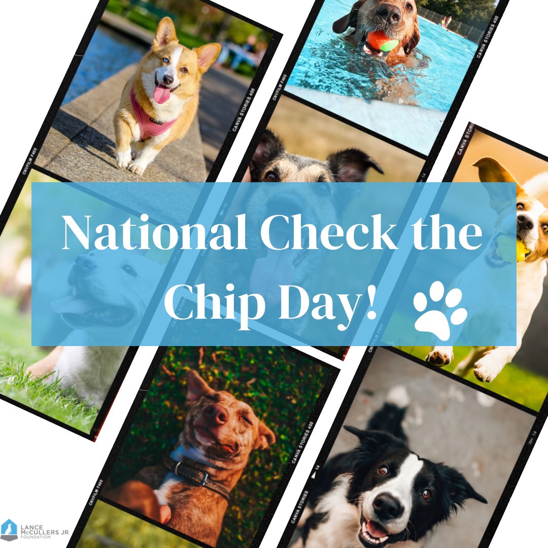 It’s National Check the Chip day!🐶

Make sure your furry friends can be safely returned to you if they are ever lost by microchipping your pets and ensuring your info is up to date!

#houston #RescueDogs #athletesandcauses #givingthedream #nonprofit