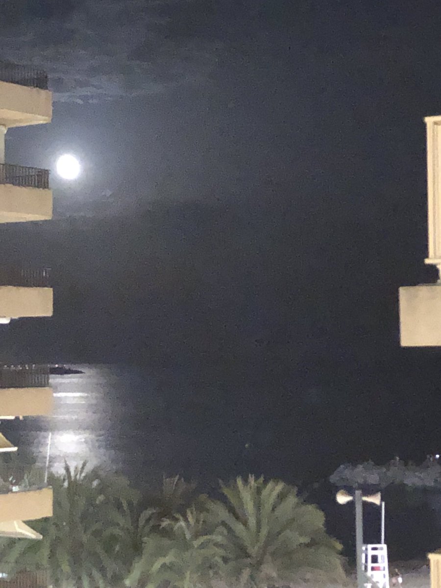 Annananit's tweet photo. Penjada al balcó #lluna #nit #estiu #estiu22 #res https://t.co/fT2lNhUITl