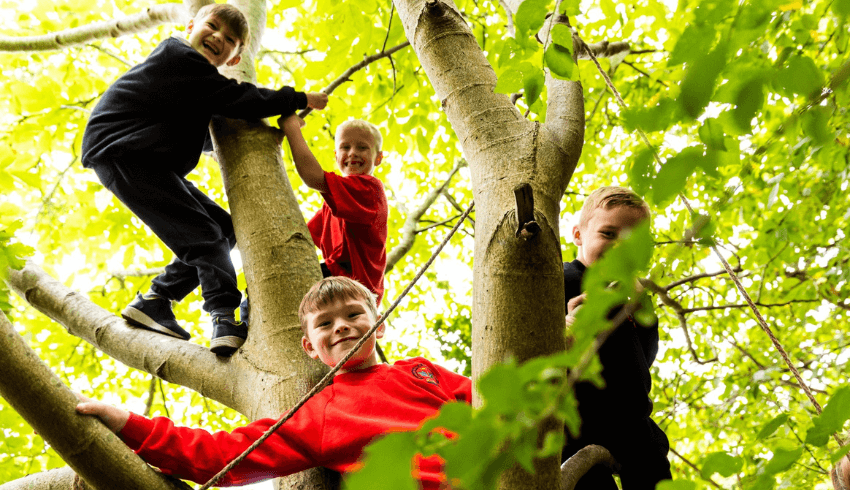 TeachPrimary's tweet photo. How we transformed behaviour in six months with outdoor learning | via @LucyBon25279616 @MapleCrossJMI https://t.co/KsBIvXpzaq https://t.co/X1LrriKrIR