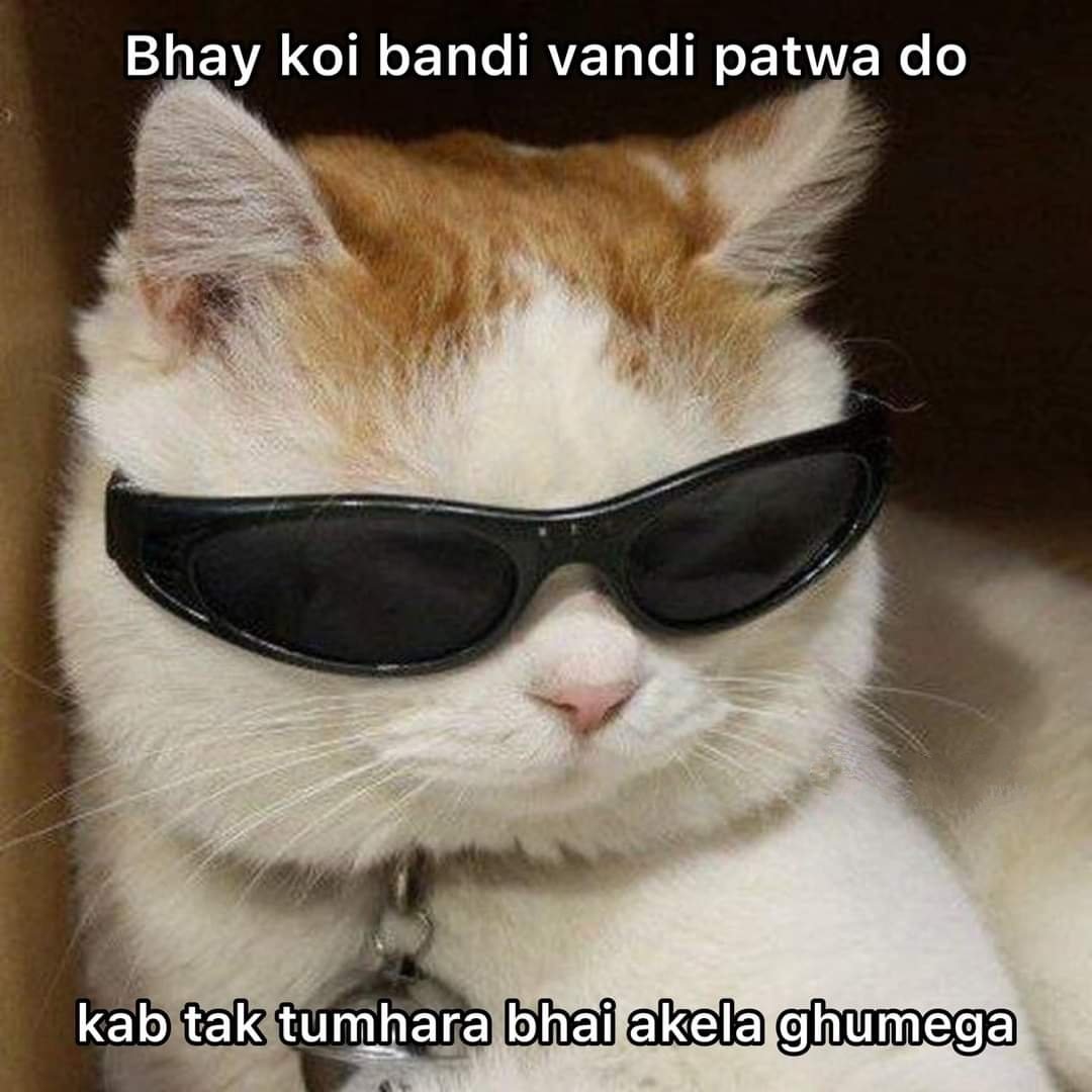 _kl_rahul11's tweet photo. 🥲🤌 https://t.co/lwD0byxFAR