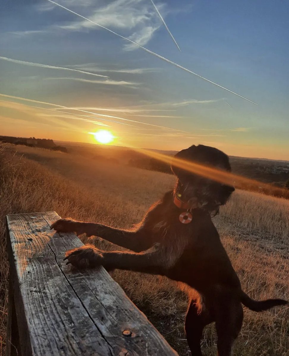 How was your weekend? Lhotse had a great time!