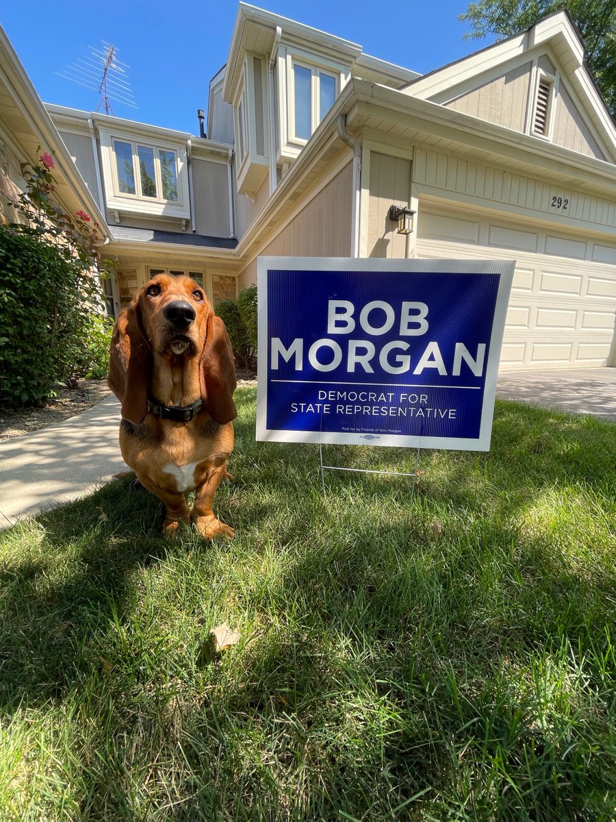 BobMorganIL's tweet photo. We are only 84 (!!) days until the election, and it's time to stake some yard signs to show your support for Bob Morgan for State Representative!
Sign up for a yard sign below ⬇️ so we have a strong showing throughout the 58th! 

https://t.co/wgMeg3VTJ6 https://t.co/jYKm7FLY8S