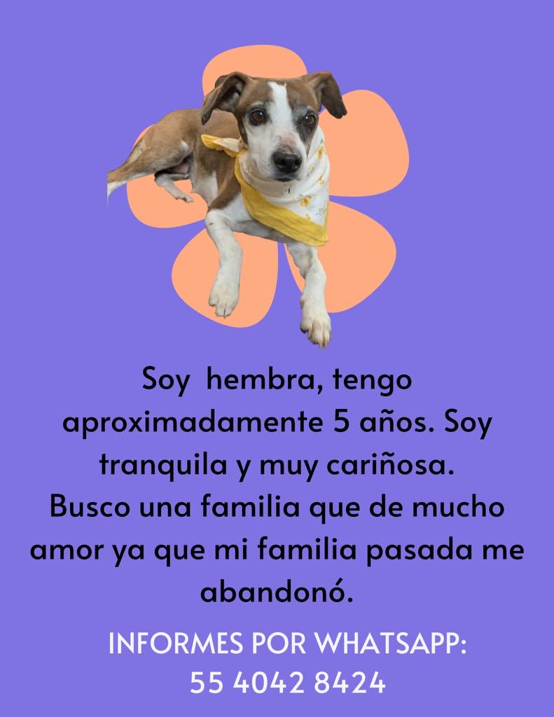 Daniela Michel (@daniela_michelc) on Twitter photo 