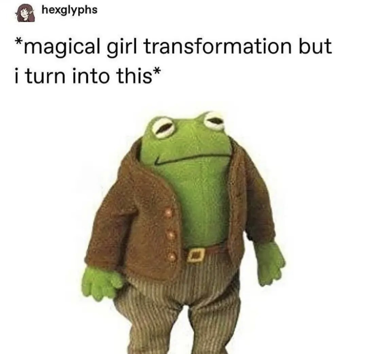 RespectfulMemes's tweet photo. https://t.co/2OeAsmc3Ps