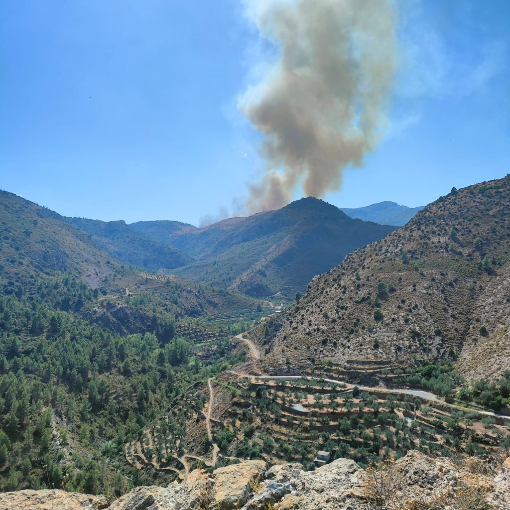 barrachinaMarta's tweet photo. Confiemos en que el #IFBejís quede en nada. 

Seguimos esperanzados en que el #IFUseres acabe cuanto antes y que el #IFBejís se controle rápido. Confianza máxima en los equipos y profesionales de extinción. https://t.co/QHbSubaLvD