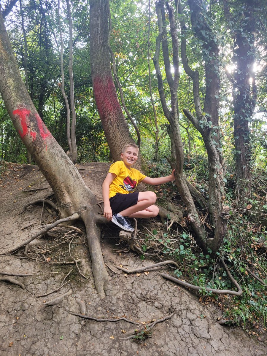 sarahjmoore83's tweet photo. @HighgateSileby #50ThingsToDo number 1 - climb a tree, great fun! https://t.co/jx92vEIqkU