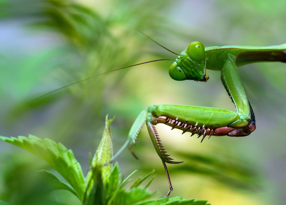 Environment911 tweet media