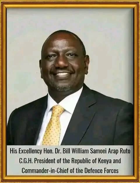 His Exellence Ruto
