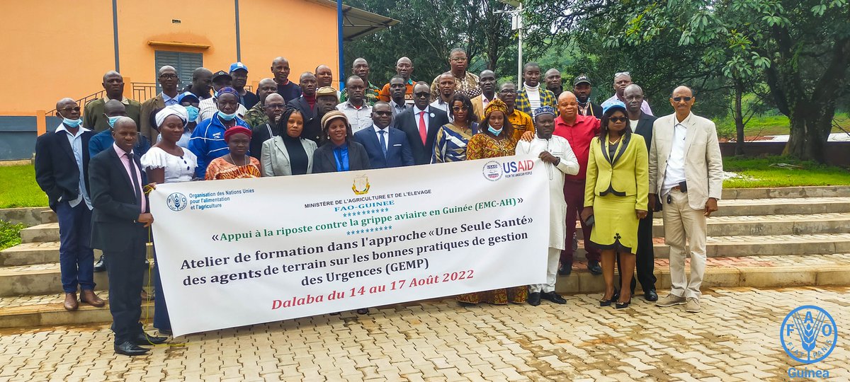 FAOGuinee's tweet photo. #Dalaba-En appui à la riposte contre la #GrippeAviaire, FAO-ECTAD renforce les capacités de 25 agents de santé (animale, humaine &amp; environnementale) à se préparer &amp; gérer #efficacement les urgences sanitaires dans l’approche #UneSeuleSante. @USAID @FAOemergencies @FAOLivestock https://t.co/jWBQNoQ7iw