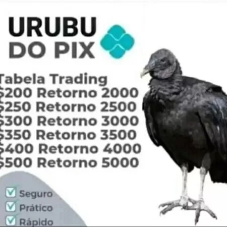AmarukRemag's tweet photo. Sexo é bom, mas sabe o que e melhor? Estabilidade financeira, arrasta pra cima que eu to com uma parceria INSANA com o URUBU DO PIX https://t.co/XQpTXyIm4u