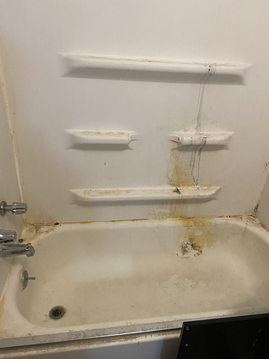 bh_endrix's tweet image. This is the condition of the property my bf moved in to today through BSU rentals in Muncie. Trash, mold, grime, URINE in the carpet! Absolutely disgusting.