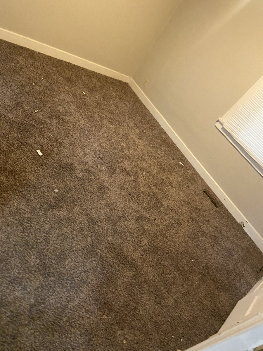 bh_endrix's tweet image. This is the condition of the property my bf moved in to today through BSU rentals in Muncie. Trash, mold, grime, URINE in the carpet! Absolutely disgusting.