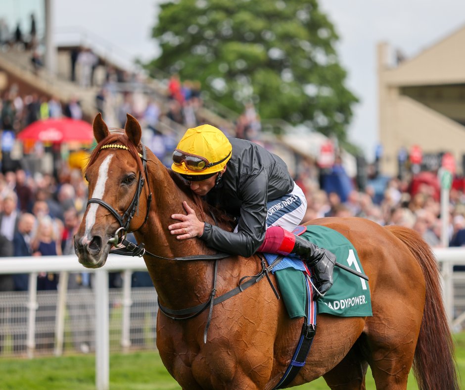 yorkracecourse's tweet photo. 2 SLEEPS UNTIL THE @SkyBet #EborFestival!
🏇Group 1 races Wed Thur & Fri
💷Europe's richest handicap The Sky Bet Ebor
👠@yorkgin Ebor Fashion Lawn
🖤💛Friday - #StradStyle
Sat only limited availability on tix Standside.
Clocktower Enclosure tix on the gate on all days. https://t.co/NjbTO55d3K