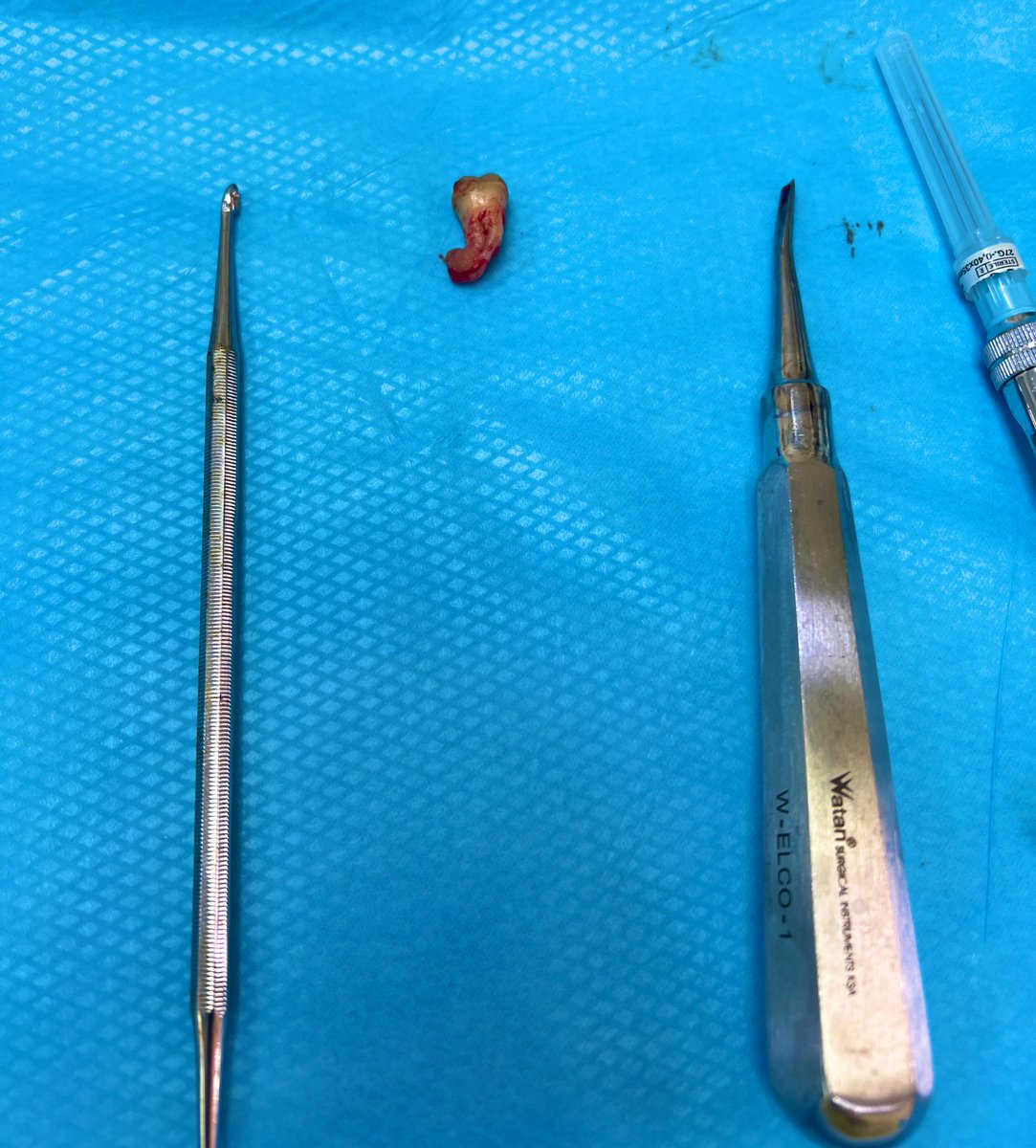 د.أمل المطيري tweet media