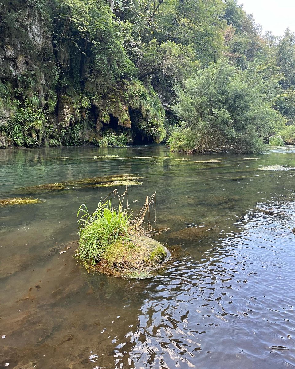 PaoloFishing's tweet photo. What else ? https://t.co/rVDQFuE3O3