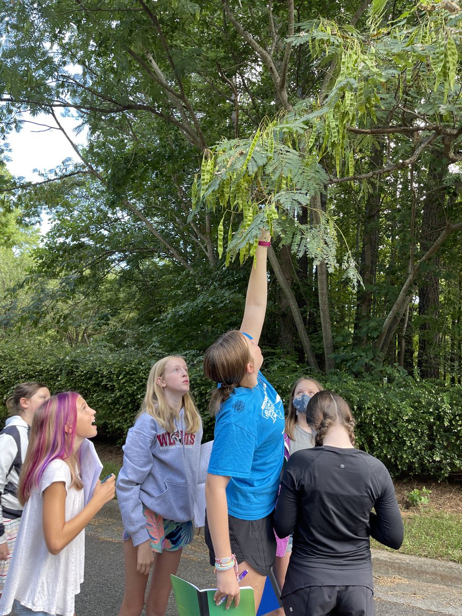 earls_connie's tweet photo. Students making observations and recording data https://t.co/DVVpMqwE6M
