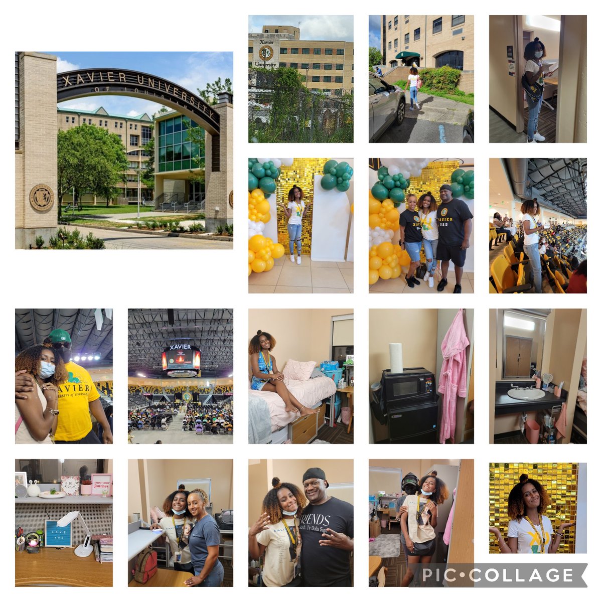 Monica Lloyd tweet media