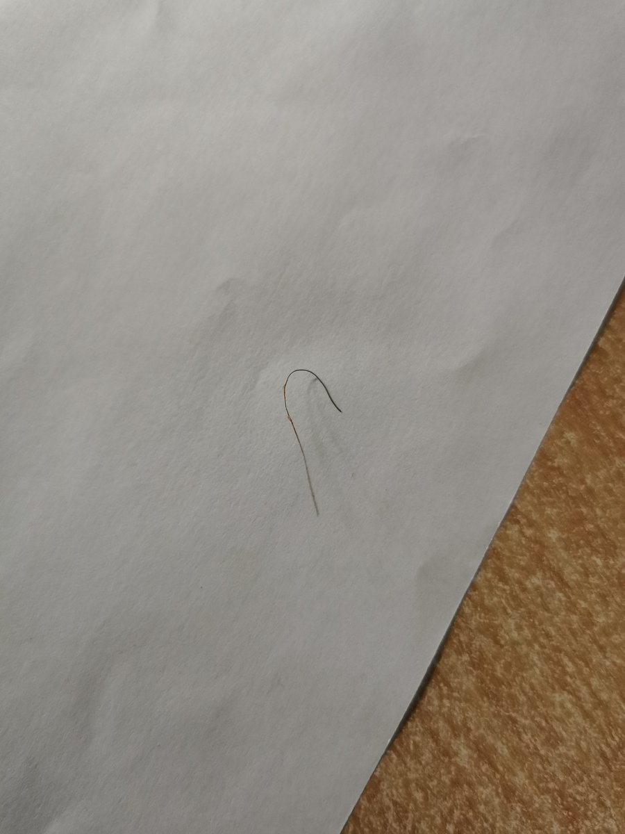 Phillip Douglas tweet media