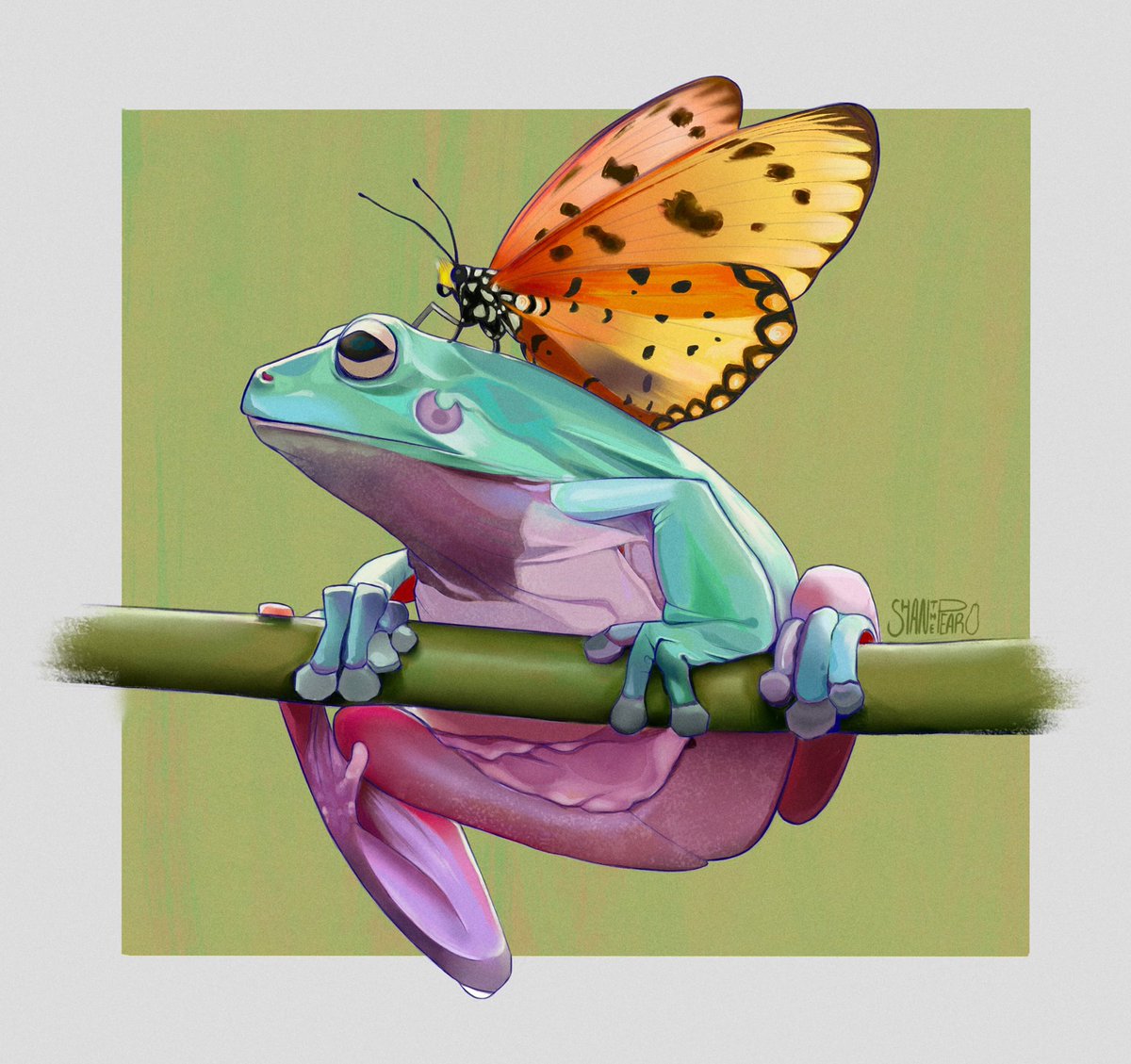 Frog fairy photo study🐸 
#study #procreate #natureartist