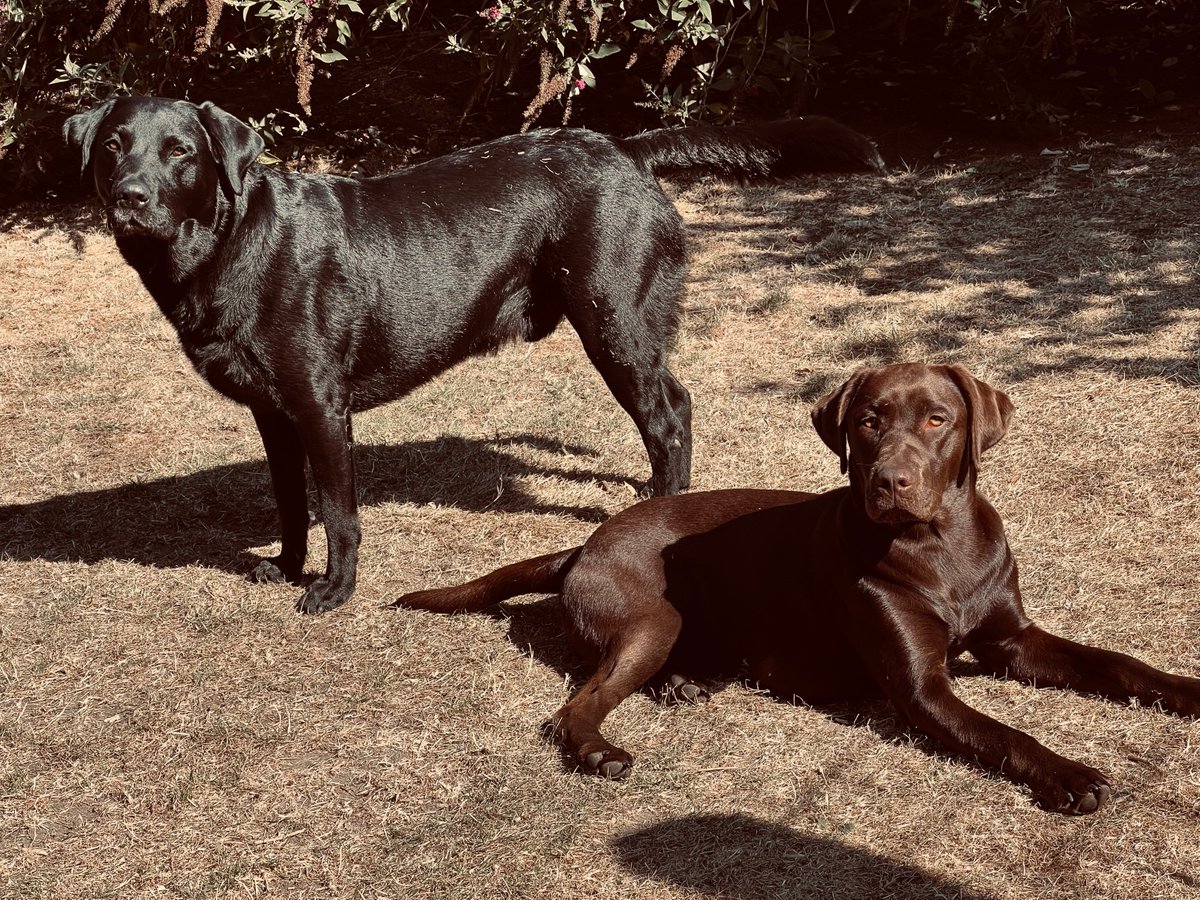 Paul Puccioni tweet media