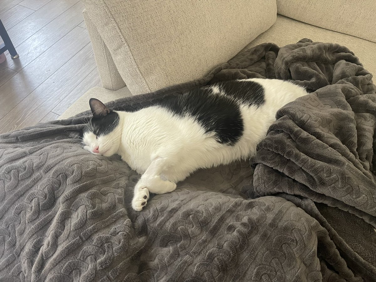 ChocolatexChar's tweet photo. Pure bliss https://t.co/N3bmS06gWD