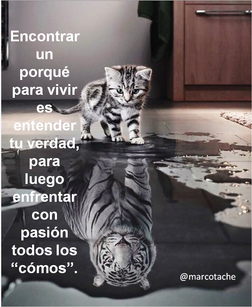 MarcoTache's tweet photo. Encontrar un porqué para vivir es entender tu verdad, para luego enfrentar con pasión todos los “cómos”. https://t.co/IuwtiqFsIq