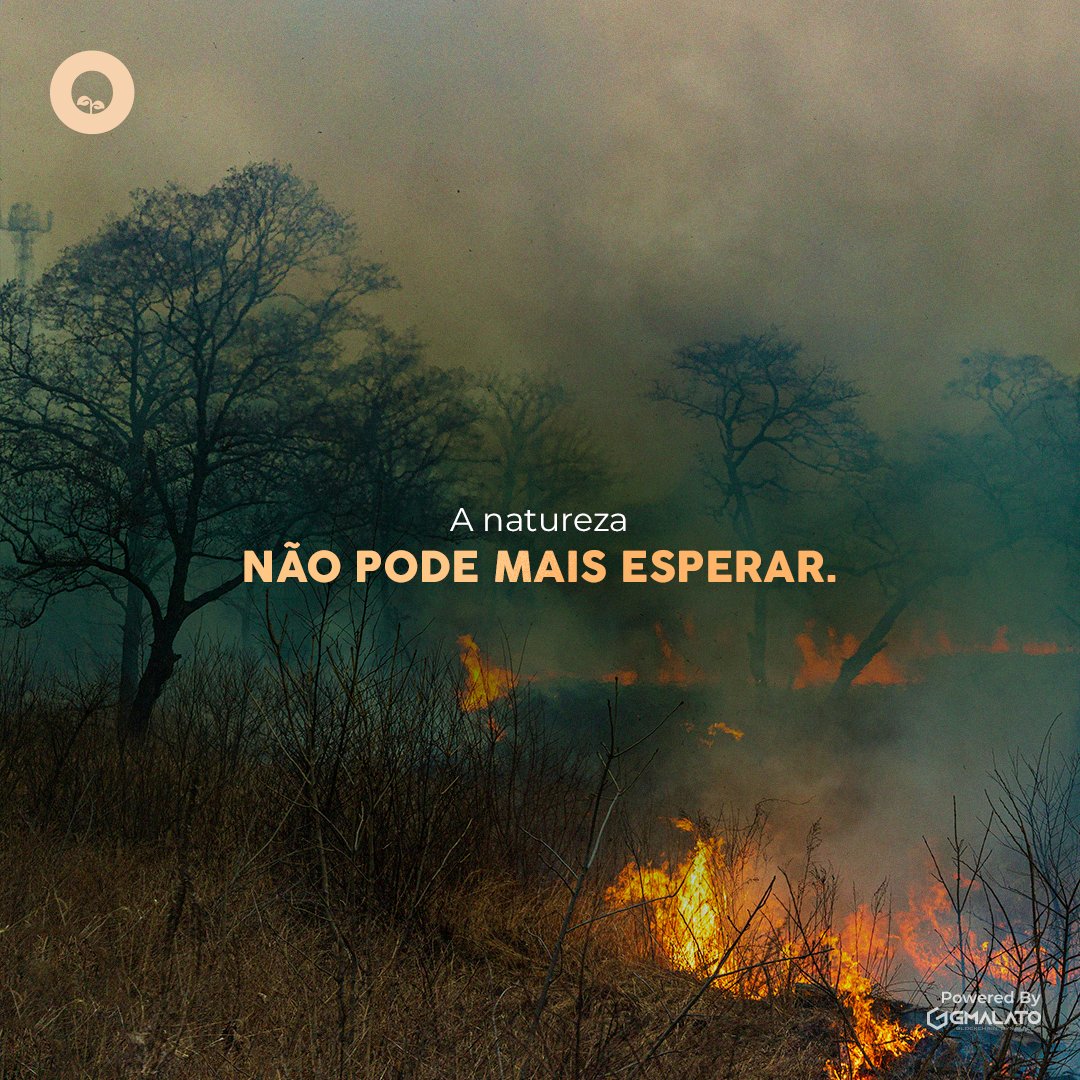 BiomaSolutions's tweet photo. De acordo com a Organização de Alimentos e Agricultura das Nações Unidas, entre 2015 e 2020 a taxa de destruição de florestas foi estimada em 10 milhões de hectares por ano.
Acesse https://t.co/pcyZymTeQL
#natureza #enviroment #sustentabilidade #meioambiente #tecnologia #bioma https://t.co/XX0j2WvvaQ