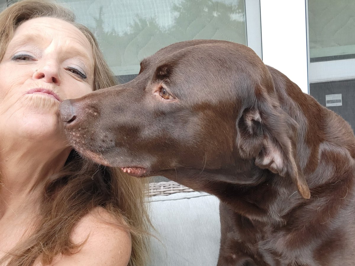 mgert69's tweet photo. No Marley today. Iget to hang out with his doggie friend, Buddy!! https://t.co/NfKwAWTXXE