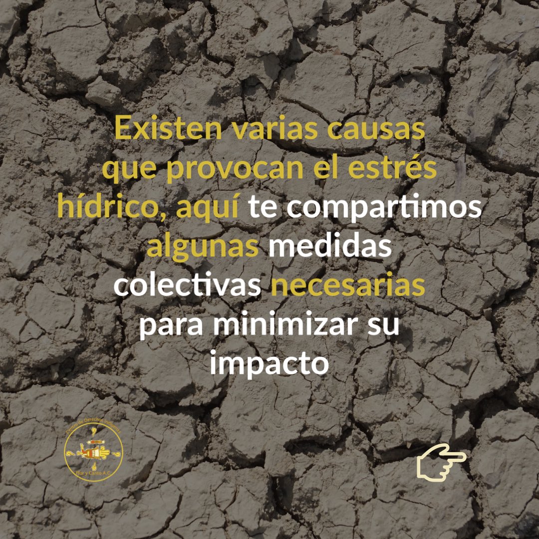 FloryCantoac's tweet photo. 💧El estrés hídrico es un fenómeno que está afectando gran parte del país, una alternativa comunitaria para contrarrestar sus efectos es la “siembra de agua”, actividad que realizan hombres y mujeres de la #Copuda en la región de los Valles Centrales de #Oaxaca. https://t.co/JiIRQdpZvR