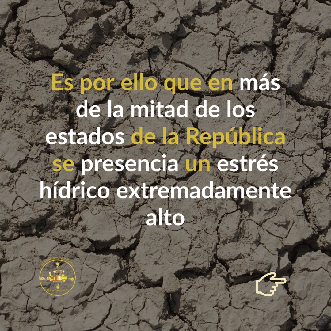 FloryCantoac's tweet photo. 💧El estrés hídrico es un fenómeno que está afectando gran parte del país, una alternativa comunitaria para contrarrestar sus efectos es la “siembra de agua”, actividad que realizan hombres y mujeres de la #Copuda en la región de los Valles Centrales de #Oaxaca. https://t.co/JiIRQdpZvR