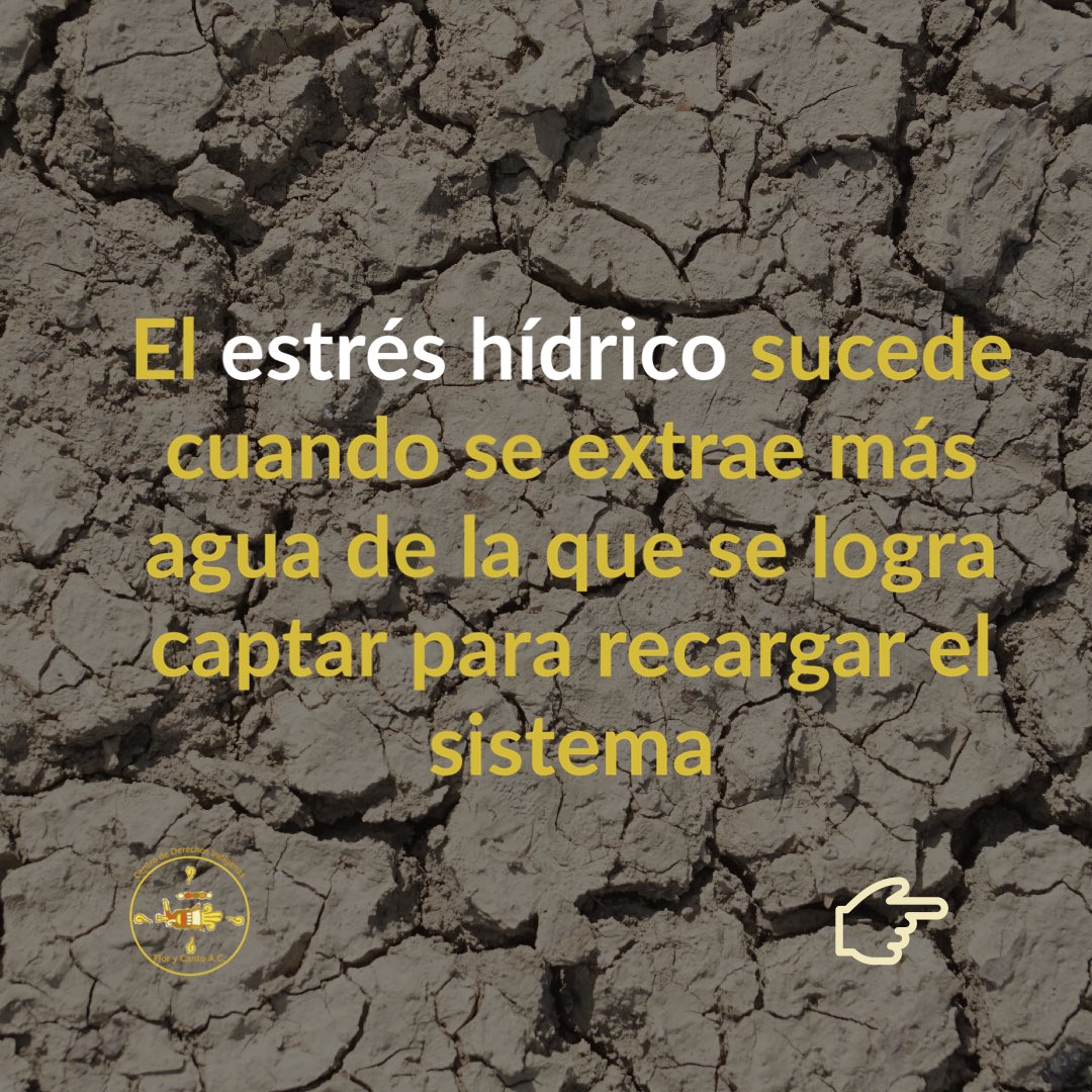 FloryCantoac's tweet photo. 💧El estrés hídrico es un fenómeno que está afectando gran parte del país, una alternativa comunitaria para contrarrestar sus efectos es la “siembra de agua”, actividad que realizan hombres y mujeres de la #Copuda en la región de los Valles Centrales de #Oaxaca. https://t.co/JiIRQdpZvR