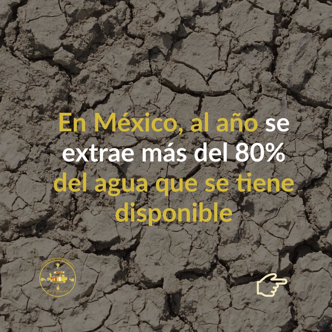 FloryCantoac's tweet photo. 💧El estrés hídrico es un fenómeno que está afectando gran parte del país, una alternativa comunitaria para contrarrestar sus efectos es la “siembra de agua”, actividad que realizan hombres y mujeres de la #Copuda en la región de los Valles Centrales de #Oaxaca. https://t.co/JiIRQdpZvR