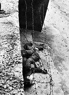 URDailyHistory's tweet photo. 17 Aug 1962: East German #communist guards shoot 18 yr old Peter #Fechter. He was trying to #escape across the Berlin Wall into West Berlin. They left him for 1 hour + in the "death-strip" on the East #Berlin side of the Wall where he bled to death. #ad https://t.co/damRjLaKOO https://t.co/5qoTY9rCUR