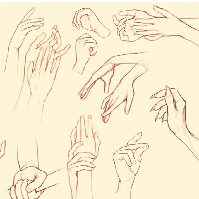 Hand studies  